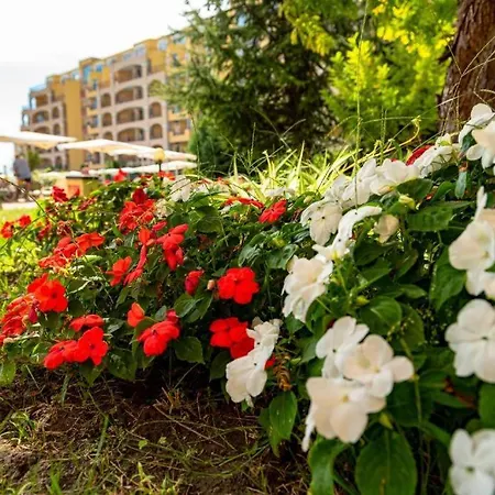 Апартаменты Midia Family Ахелой