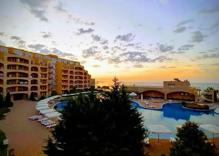 Midia Family 阿赫洛伊