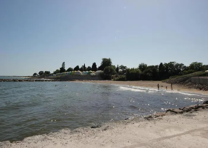 Midia Family Apartamento Aheloy