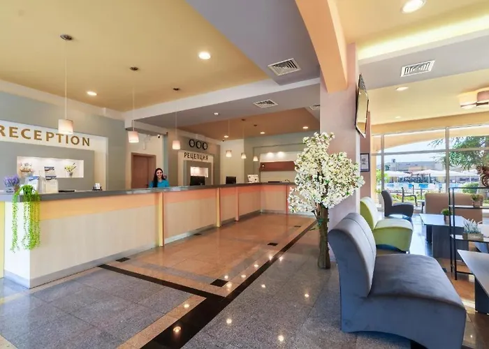 Midia Family * 阿赫洛伊