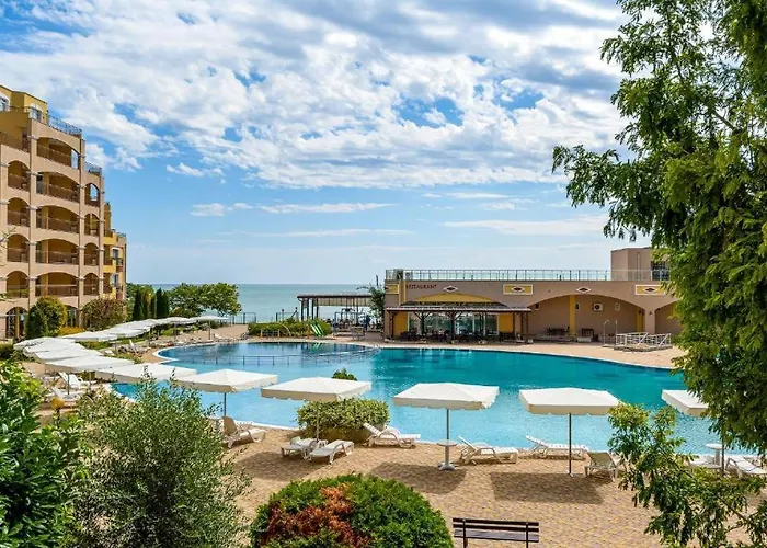 Midia Family 阿赫洛伊